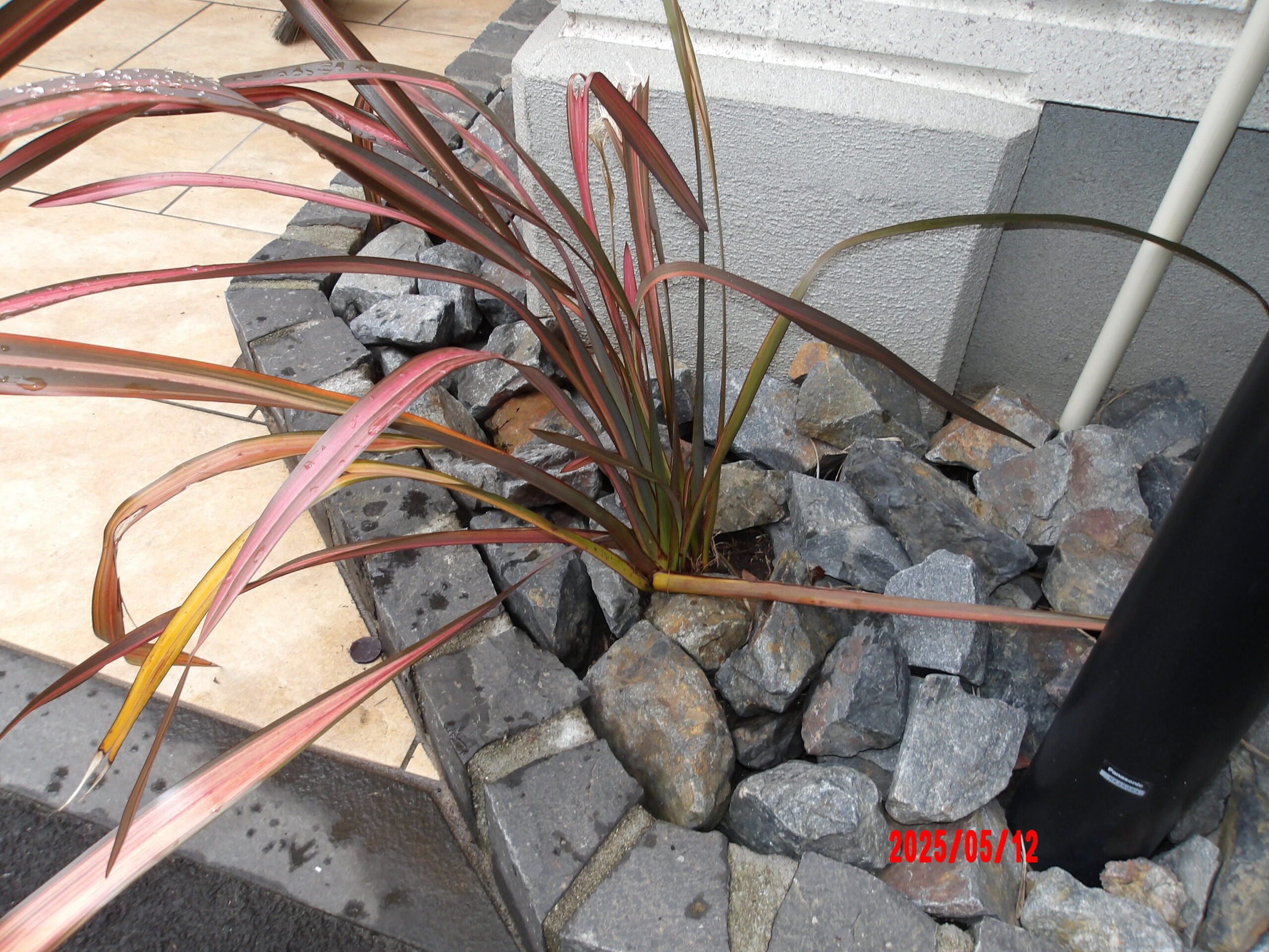 植栽の整理 After